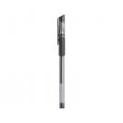 Pen Ricen