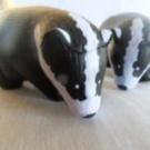 Animals
