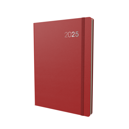 Collins Legacy - Daily Lifestyle Planner - A4 Day-to-Page Diary with Appointments