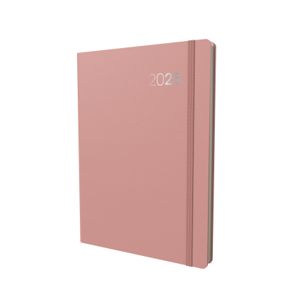 Collins Legacy - Daily Lifestyle Planner - A4 Day-to-Page Diary with Appointments