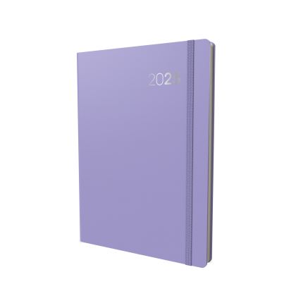 Collins Legacy - Daily Lifestyle Planner - A4 Day-to-Page Diary with Appointments
