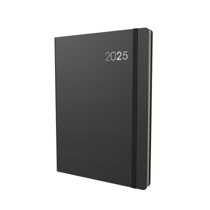 Collins Legacy - Daily Lifestyle Planner - A4 Day-to-Page Diary with Appointments