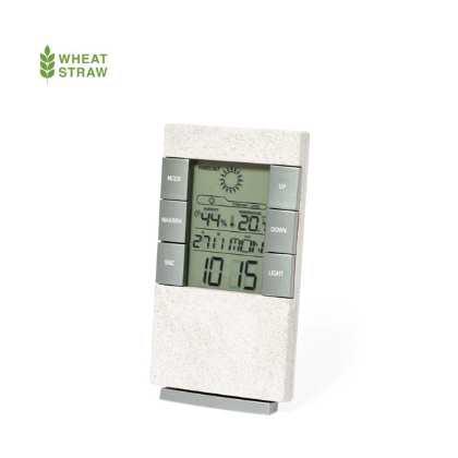 Weather Station Maginly