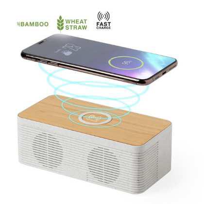 Charger Speaker Trecam