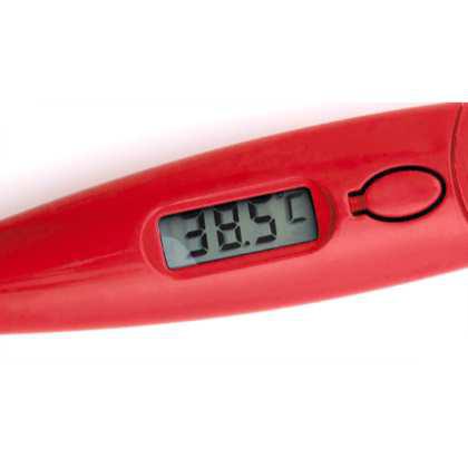 Digital Thermometer Kelvin