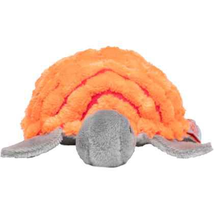 Cat toys turtle