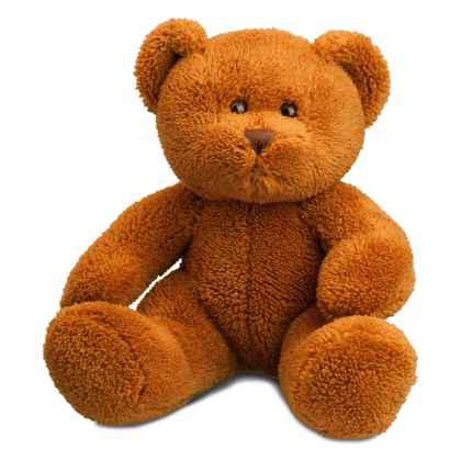 softplush teddy bear Michaela