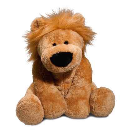 zoo animal lion