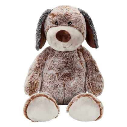 Dog Constantin