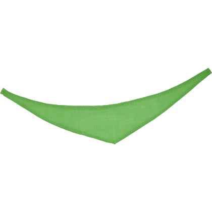 Bandana light green XS