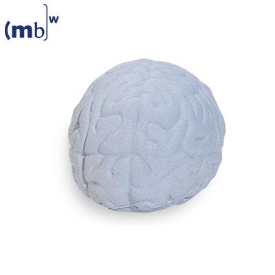 SQUEEZIES? brain