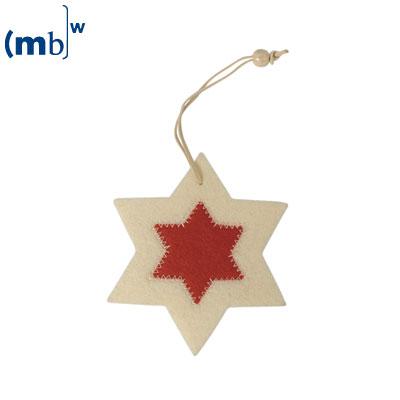 felt hanger star