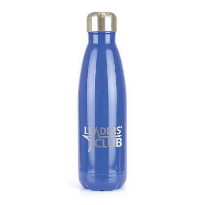 Ashford Shine 500ml Bottle  (24317)