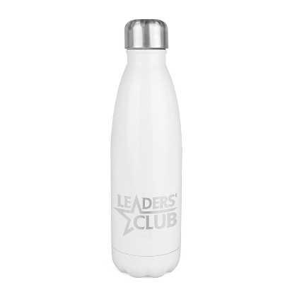 Ashford Shine 500ml Bottle  (24317)