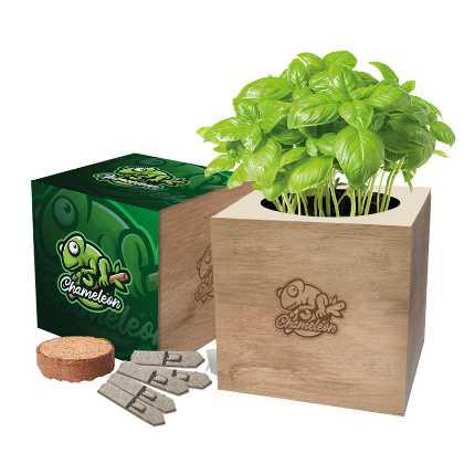 Desktop cube garden   (24446)