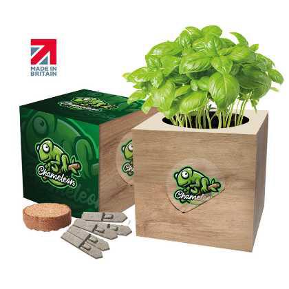 Desktop cube garden   (24446)