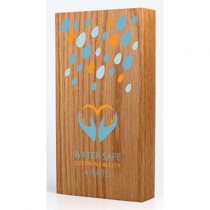 Picture of Real Wood Block Award