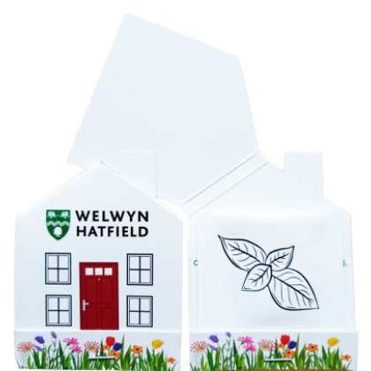 Seed Booklets - Shaped