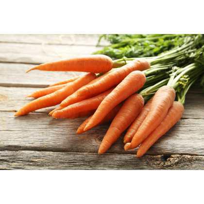 Vegetable & Fruit Seeds