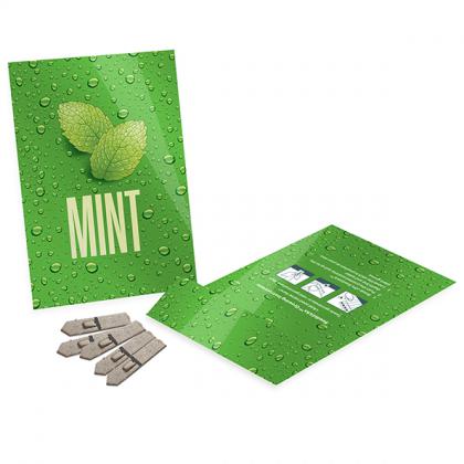 Medium Seed Packet Envelopes - Gloss E1413303