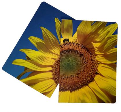 RAMPTON A5 ECOLOUR FLEXI NOTEBOOK   E147702