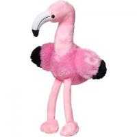 Flamingo Fernando