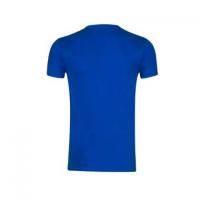 Adult Colour T-Shirt Iconic V