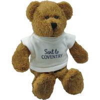 SCRAGGY BEAR WITH WHITE T-SHIRT 9 inch E1415107