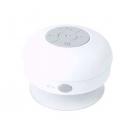 Speaker Rariax