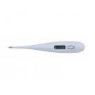 Digital Thermometer Kelvin