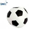 vinyl soccer ball