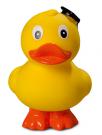 squeaky duck graduate, upright