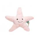 RecycelStarfish