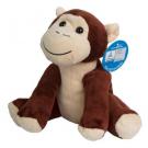 zoo animal monkey