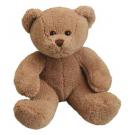 softplush teddy bear