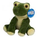 Arwin zoo animal frog