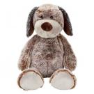 Dog Constantin