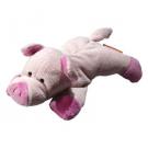 screen cleaner pig
