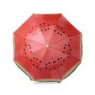 Beach Umbrella Chaptan
