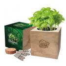 Desktop cube garden   (24446)