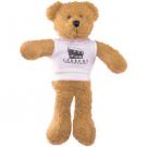 9inch Scraggy Bear with T Shirt   (24724)
