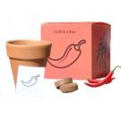Chilli in a Box