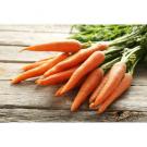 Vegetable & Fruit Seeds