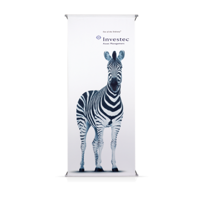 Pop Up Spider Banner