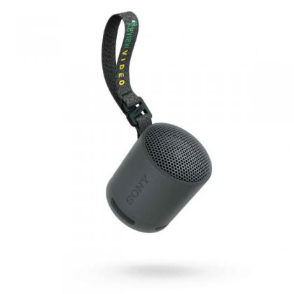 Sony Bluetooth Speaker SRS-XB100 Black