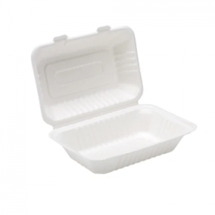 Bagasse Boxes