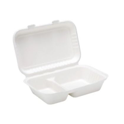 Bagasse Boxes
