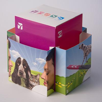 Four Pocket Leaflet Dispenser