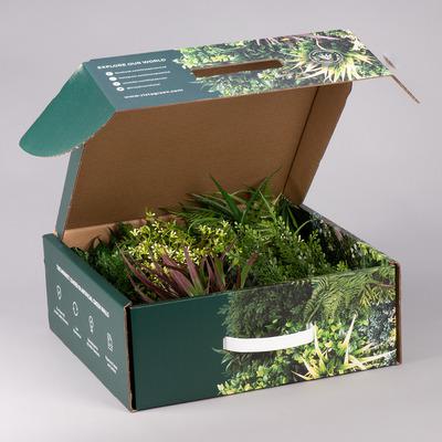Large Product Sample Box
