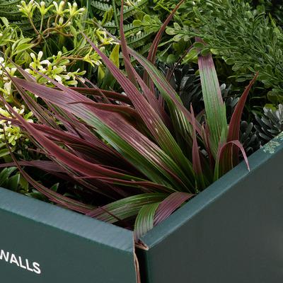 Large Product Sample Box